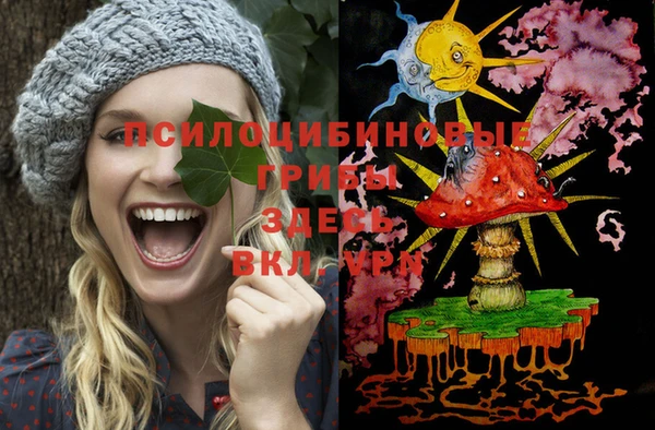 стафф Армянск